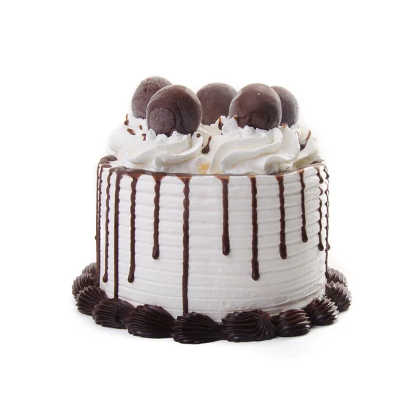 Ice Cream Cake Chocolate Ice Cream Cake — Stock Photo, Image