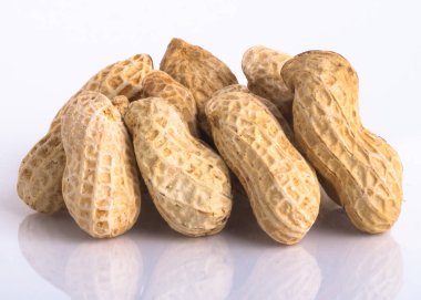 beyaz izole zemin üzerine fındık