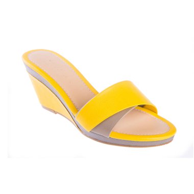 Ayakkabı veya bir arka plan üzerinde kadın ayakkabı.