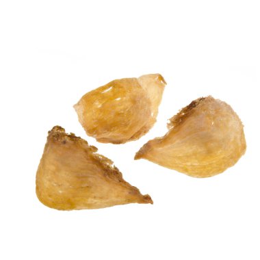 Yeni bir arka planda kuş yuvası ya da kuru kuş yuvası