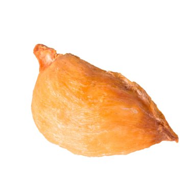 Yeni bir arka planda kuş yuvası ya da kuru kuş yuvası