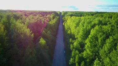 Yeşil yaz ormanının ortasındaki yolun havadan çekilmiş videosu.