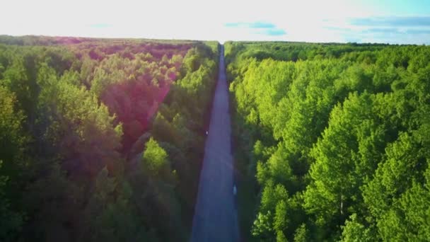 Vidéo aérienne de la route au milieu de la forêt verte d'été — Video