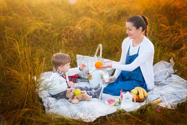 Mutlu Bir Aile Hamile Anne Küçük Oğlu Piknikte Yaşam Tarzı — Stok fotoğraf