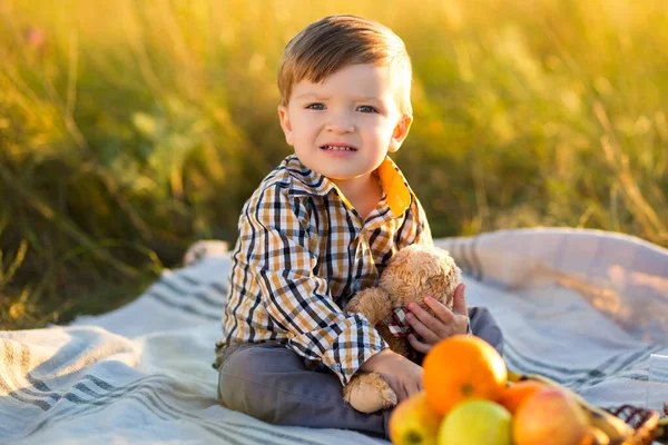 Güneşli Bir Günde Piknikte Oyuncak Ayı Meyve Taşıyan Çocuk — Stok fotoğraf