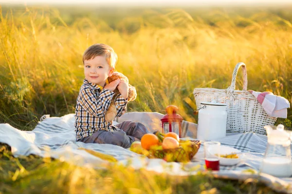 Junge Mit Teddybär Und Früchten Beim Picknick Bei Sonnigem Wetter — Stockfoto