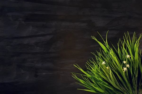 Крупним Планом Зелене Листя Трави Чорному Дерев Яному Або Металевому — стокове фото