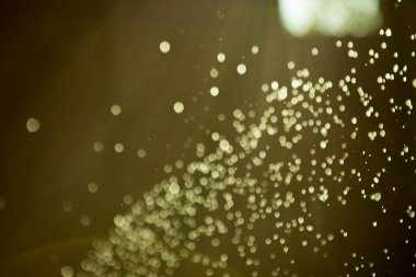 Özetle özet geçmişler ve su sıçratmaktan, fenerlerden ve güneşten gelen ışıktan kaçmışlar.