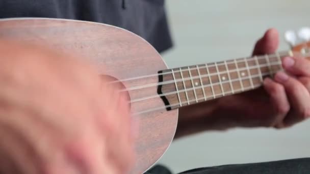 El hombre toca el ukelele. En el marco, las manos masculinas están tocando el instrumento musical . — Vídeos de Stock