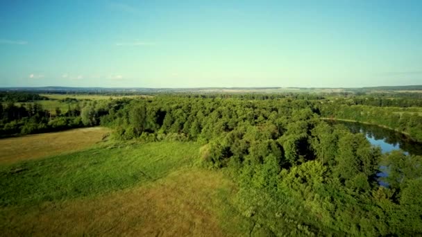 Luchtfoto van het veld — Stockvideo