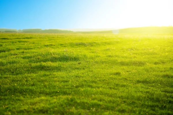 Våren frisk ljust grönt gräs vid solnedgången på en varm solig dag. Grön äng under blå himmel med moln . — Stockfoto