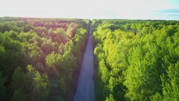 緑の夏の森の中の道路の空中ビデオ — ストック動画