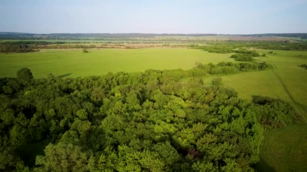 春の日没の間に緑の芝生のフィールド上を飛行する空中ビデオ — ストック動画