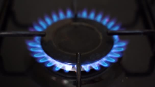 Cuisinière à gaz. Brûleur à gaz allumé. Flamme bleue. — Video