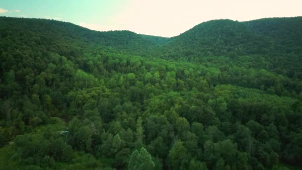 緑の森に覆われた山の空中ドローン映像。空中ビデオ. — ストック動画