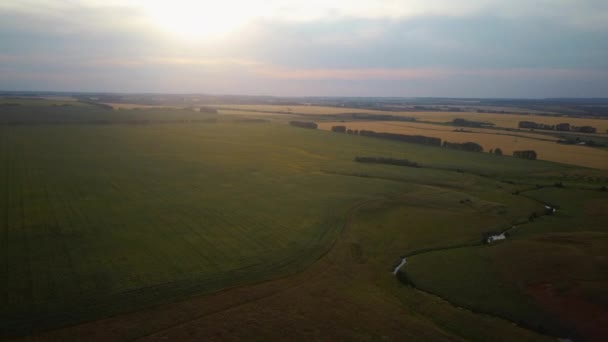 Video aerei che sorvolano il campo durante il tramonto — Video Stock