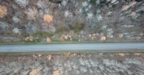 Luchtfoto van de weg midden in het herfstbos. Vallen. — Stockvideo