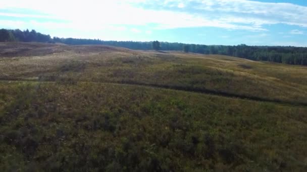 Wideo lotnicze przelatujące nad polem trawy podczas zachodu słońca jesienią — Wideo stockowe