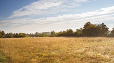 Sonbahar manzarası, sabah kurak çimenler, gün doğumunda.