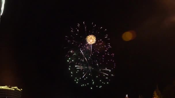 Feuerwerk gegen den dunklen Himmel. Neujahr oder Unabhängigkeitstag feiern. Zeitlupe — Stockvideo