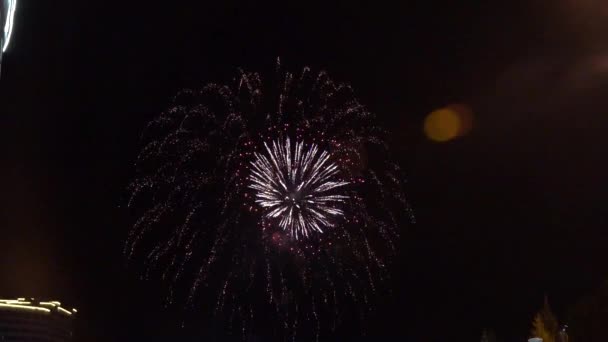 Feuerwerk gegen den dunklen Himmel. Neujahr oder Unabhängigkeitstag feiern. Zeitlupe — Stockvideo