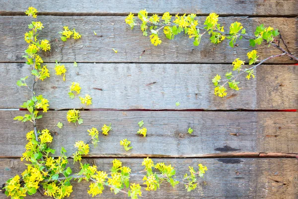 Wood Sign With a Yellow Flowers Background — Stock Photo, Image