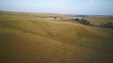 Güneşli yaz gününde gün batımında hava video tarlası