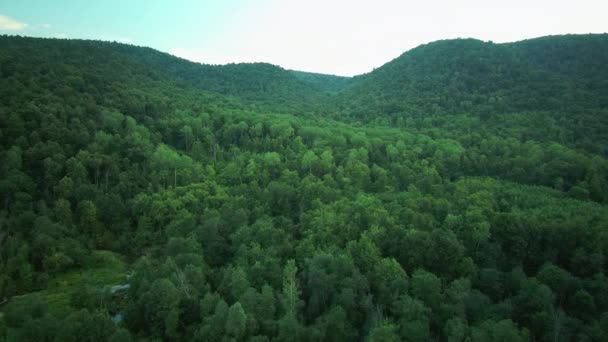 Aerial drone footage of mountains covered with green forest. Aerial video. — Stock Video