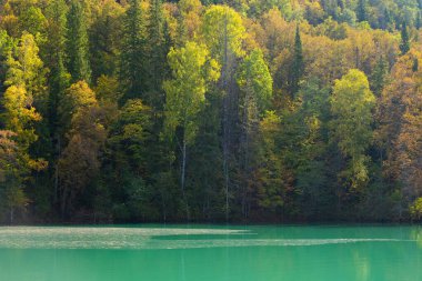 Sonbaharda Mavi Dağ Gölü. Güzel bir sonbahar sabahı
