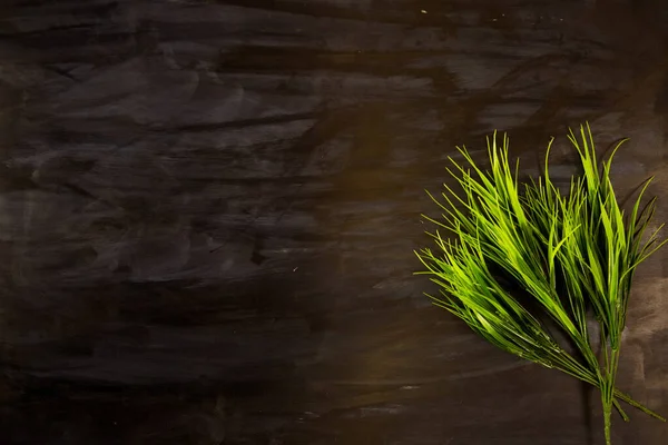 Закрытие зеленых листьев травы на черном деревянном или металлическом фоне — стоковое фото