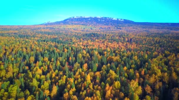 Wideo lotnicze z pięknego górskiego jeziora na mroźny jesienny poranek. — Wideo stockowe