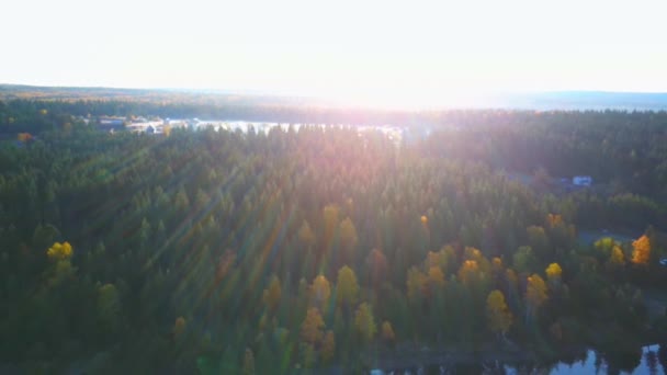 清々しい秋の朝の美しい山の湖の空中ビデオ. — ストック動画