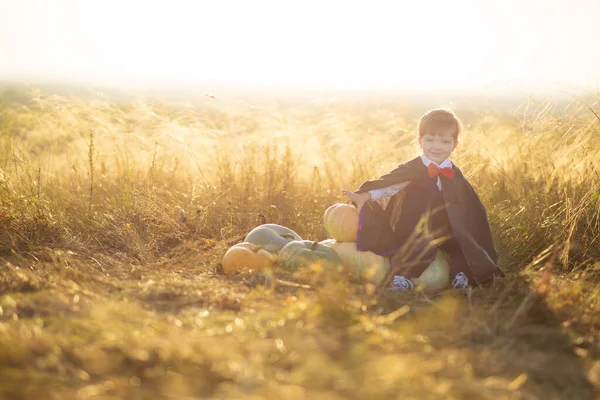 幸せな子供の男の子は日没のカボチャとドラキュラを身に着けていました。ハッピーハロウィン. — ストック写真