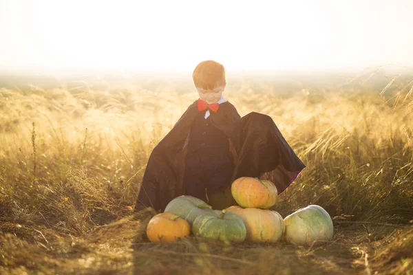 Happy child boy dressed as dracula with pumpkins on sunset. Happy halloween. — Stock Photo, Image