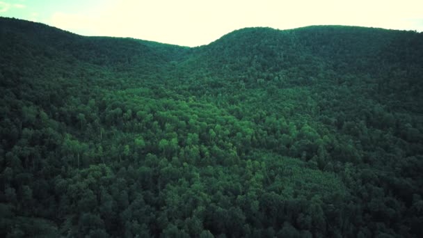 Nagranie dronów z gór pokrytych zielonym lasem. Filmik z powietrza. — Wideo stockowe
