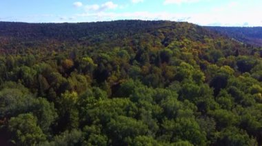 Yazın günbatımında ormanın havadan çekilmiş videosu. Kırsal