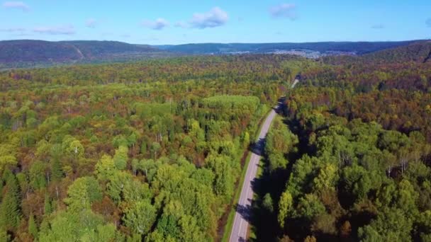 空中视频公路森林 — 图库视频影像
