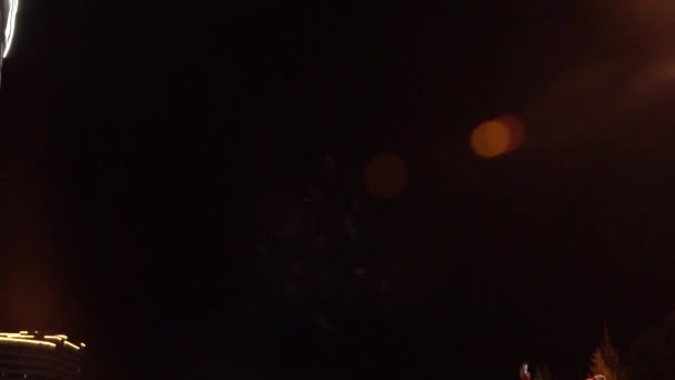 Fireworks against the dark sky. Celebrating New Year or Independence Day. Slow Motion — Stock Video