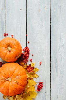 Şükran Günü arkaplanı: balkabakları ve ahşap zeminde düşen yapraklar.