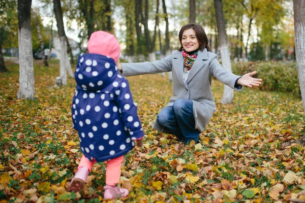 家族は曇りの日に秋の公園を歩く. — ストック写真