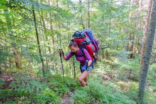 Turistické Výlety Hornaté Oblasti Dívka Stoupá Hor Batohem Zádech Opíraje — Stock fotografie