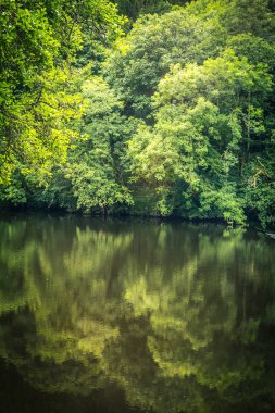 Orman ve nehir Clyde ile İskoçya'da Yeni Lanark.
