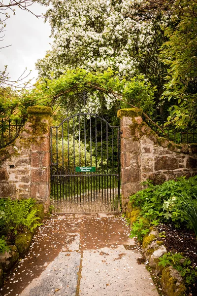 Ancienne Porte Ancienne Dans Belle Garde — Photo