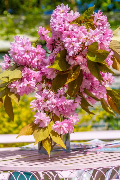 Cena Bonita Romântica Jardim Casa Com Vaso Flores Cerejeira Japonesas — Fotografia de Stock