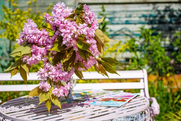 Cena Bonita Romântica Jardim Casa Com Vaso Flores Cerejeira Japonesas — Fotografia de Stock