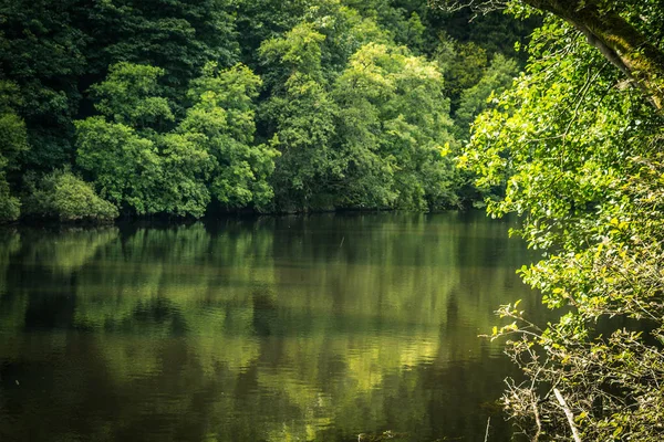 New Lanark Scotland Forest River Clyde — Stock Photo, Image