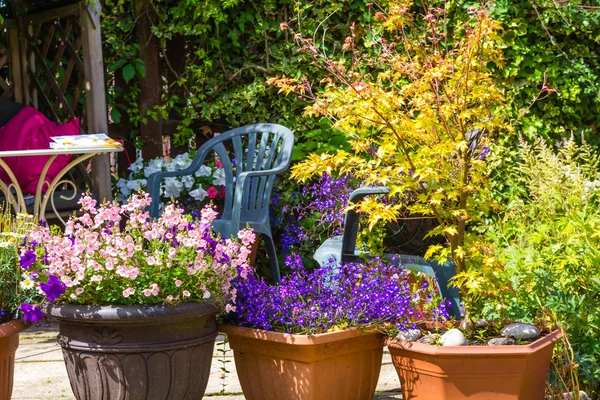 Bellissimo Giardino Estivo Con Fiori Incredibili Grandi Vasi Fiori — Foto Stock