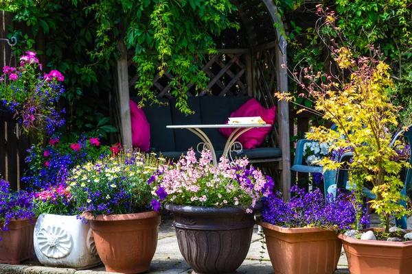 Schöner Sommerlicher Garten Mit Erstaunlicher Blüte Großen Blumentöpfen — Stockfoto