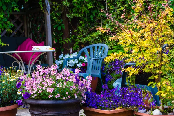 Bellissimo Giardino Estivo Con Fiori Incredibili Grandi Vasi Fiori — Foto Stock