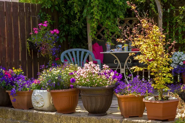 Vacker Sommarträdgård Med Fantastiska Blossom Stora Blomkrukor — Stockfoto